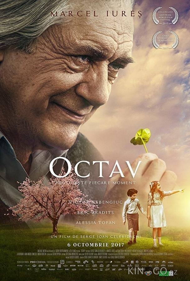 Октав 